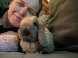 Can a frozen water bottle harm a rabbit if it licks it?