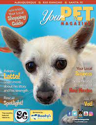 The rancho cucamonga animal center does not routinely test all cats and kittens for felv (feline leukemia virus) and fiv (feline immunodeficiency. Your Pet Magazine November 2019 By Your Pet Magazine Issuu