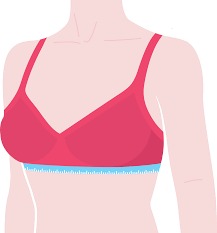 Check spelling or type a new query. Calculate Bra Size