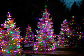 Residential Holiday Decorating And Christmas Light Service Portfolio Outdoor Christmas Christmas Lights Pink Christmas Lights