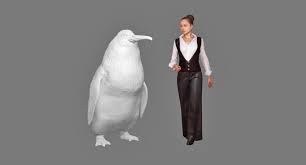 Copyright © john smith, all rights reserved. Human Size Monster Penguin Species Discovered In New Zealand
