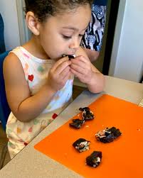 Only day 3 of Adventures around the World camp, but the FUN is in high  gear! We've made strawberry sorbet in Antarctica, built a spaghetti and  fruit loop Eiffel Tower in Europe,