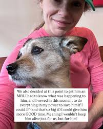 Ali Fedotowsky-Manno