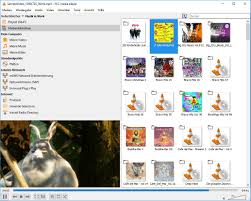 It does not support dvd or blurays! Allroundtalent Vlc Media Player Wintotal De