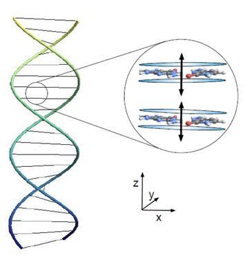 Quantum Entanglement Holds DNA Together, Say Physicists | MIT Technology Review