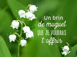 Convallaria majalis • muguet commun, muguet. Epingle Sur Nouveautes