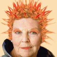 Teacher's Pet (Class Clown, #2) by Johanna Hurwitz