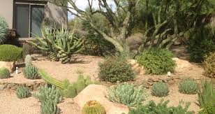 Xeriscaping is a form of gardening that focuses on plants and gardening practices that can be 1 planning your xeriscape project. The Xeriscaping Fallacy Phoenix Landscaping Needs Desert Crest Llc