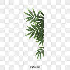 folha folhas folha verde imagem png e psd para download gratuito in 2021 flower background wallpaper leaf clipart flower backgrounds