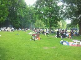 Strandbad Mannheim Neckarau Dolores Park Park Travel