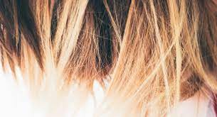 I nostri capelli hanno un follicolo pilifero, non visibile, dove si trovano le cellule pigmentate ricche di melanina, ovvero il pigmento che fornisce il colore ai nostri capelli. Capelli Ecco Le Nuove Tinte Biomimetiche Melanina Sintetica E Niente Metalli Pesanti