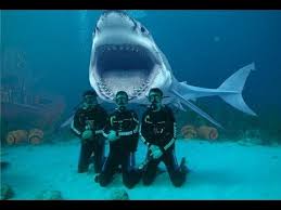 What is the scariest thing in the ocean? Top 10 Scary Sea Creatures Youtube