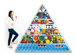 Resultado de imagen para alimentacion saludable importancia
