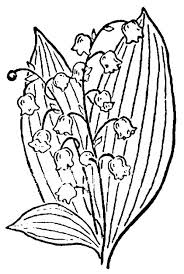 Maybe you would like to learn more about one of these? Flori De Desenat Shefalitayal