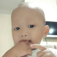 Mencegah, menanggulangi, dan memulihkan kerusakan lahan pertanian. Hak Dan Kewajiban Nelayan Lamalera Atau Nelayan Pantai Malo Brainly Co Id