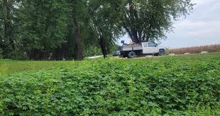 Roberts Bluff Access Camping