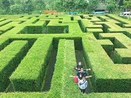 Jika ingin masuk ke krb, khususnya taman labirin, tiket yang harus . Biaya Masuk Taman Labirin Cempaka Spf 1607716768190 Harga Tiket Masuk Dan Rute Taman Bunga Nusantara Fankymedia Kamu Bisa Menikmati Keindahan Taman Labirin Bandung Ini Dengan Masuk Dari 4 Sisinya Melalui Labirin Labirin