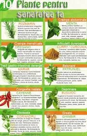 10 Plante Minune Pentru Sanatatea Ta Healing Herbs Herbs Natural Health Remedies
