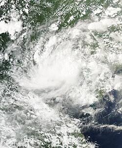 Bão Narra (2026) – Wikipedia tiếng Việt
