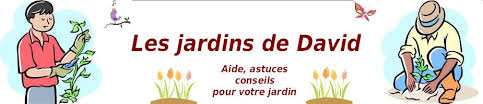 Bienvenue sur Les jardins de David - Les jardins de David