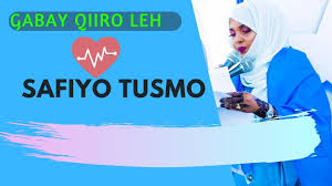 شاعر) waa qof leh halabuur isla markaana sameeya, tiriya ama aqoon u leh tixaha, tiraabta, gabayayada, geeraarka, maansada iyo wixi la halmaala. Download Safiyo Tusmo Gabay Qiiro Leh 2019 In Hd Mp4 3gp Codedfilm