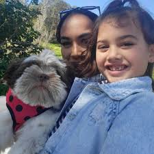 Lost Dog: Ariki Date Lost: January 25/26, 2025 Location: Manning area near  Curtin University, Bentley, Perth Ariki is a beloved Maltese Shih Tzu who  holds a special place in our family, especially