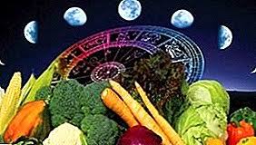 Sila semak laman web ini untuk maklumat terkini. Kalender Lunar Tukang Kebun Tukang Kebun Dan Penanam Bunga Untuk Bulan Julai 2018 Hari Hari Yang Baik Fasa Bulan Pengeluaran Tanaman
