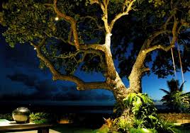 Benefits Of Low Voltage Landscape Lighting In Ventura Camarillo And Santa Barbara