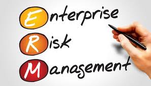 Check spelling or type a new query. Enterprise Risk Management Erm Ibfgi