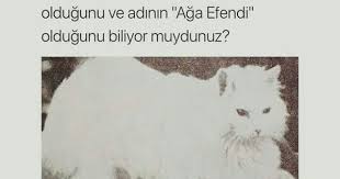 Abdulhamid Han Sedef Icli Biliyor Muydunuz Gercekler Komik Seyler