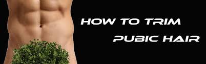 If you fail to plan, you're planning to fail, and when it comes to shaving your pubes, the stakes are high. How To Trim Pubic Hair Without Cutting Yourself Manscaping Guide