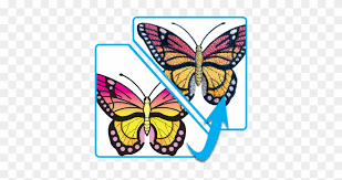Our machine embroidery designs are accessible in all famous machine formats ( dsb, dst, exp, hus, jpg, pec, pes, sew, xxx, vep, vp3, jef ) and are digitized. Embroidery Digitizing Free Embroidery Designs Download Free Transparent Png Clipart Images Download