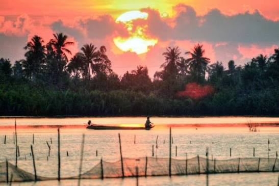 Đầm Thị Tường - Từ Sinh Thái Đa Dạng Đến Món Ngon Đậm Vị