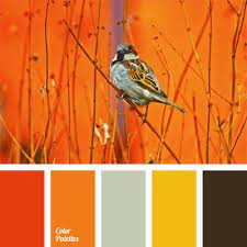 Check spelling or type a new query. Color Palette 486 Color Palette Color Balance Warm Colors