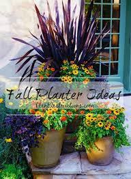 Beautiful container plantings add instant appeal to your deck, patio, entryway, porch, or yard. 13 Fall Container Ideas You Need To Copy Asap Plant Instructions