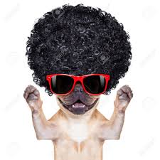 Fotos sauberer sein können, werden zu lassen bilder stärker konzentriert und mit dieser anwendung können wir auch einige effekte erzielen, die ein foto von uns machen spezieller geworden. Coole Hund Mit Frieden Und Sieg Finger Und Winkte Pfoten Isoliert Auf Weissem Hintergrund Lizenzfreie Fotos Bilder Und Stock Fotografie Image 35106551
