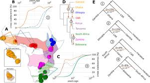 Ancient Hybridization And Strong Adaptation To Viruses