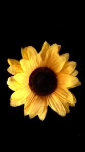 (.) look at its shape, with vibrant yellows and oranges, a sunflower can brighten your day. Sunflower Wallpaper Black 3d Wallpapers