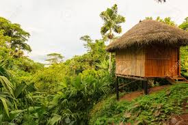 Maybe you would like to learn more about one of these? Casa De Campo En El Medio De La Selva Amazonica Yasuni Reserva Fotos Retratos Imagenes Y Fotografia De Archivo Libres De Derecho Image 48281718