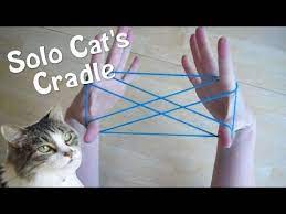 Shown from the user's point of view! Pin On School