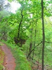 Rainbow mountain trails travelers' reviews, business hours, introduction, open hours. Rainbow Mountain Loop Trail Madison Alabama