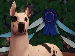 MAY ALL-BREED CONFORMATION SHOW