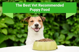 Our vet advised switching to a dog food with limited ingredients or a different protein base like fish. The 5 Best Vet Recommended Puppy Food Available Therapy Pet