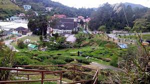 Siapa yang tidak kenal dengan teh boh yang dijual di setiap kedai dan pasaaraya di malaysia. 41 Tempat Menarik Di Cameron Highland 2021 Percutian Dingin Nyaman