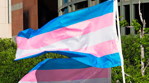 We did not find results for: A Trans Teen S Name Change Was Allowed After An Ohio Judge S Initial Ruling Was Overturned Teen Vogue
