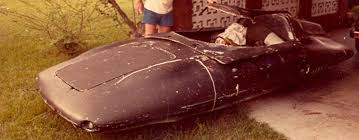 Image result for Wild Rose 1999 Tiburon