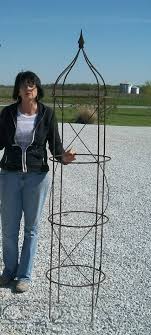 The first is to tie the rose canes onto the face of the trellis with a soft twist tie, rather than weaving the rose through the lattice, as this can damage canes and make the bush harder to keep under control. 72 Metal Rose Vegetable Trellis Pyramid Obelisk
