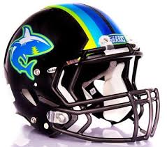 Pin By Melanie Protz On Helmets Football Helmets Helmet Football