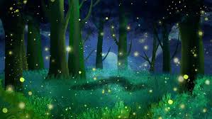 fundo de publicidade de vaga lume de floresta cenario anime imagem de floresta floresta desenho vaga lume de floresta