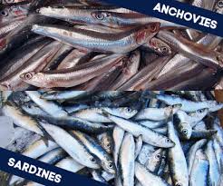 Sardines Vs Anchovies What S The Difference Anchovies Sardines Pizza Toppings